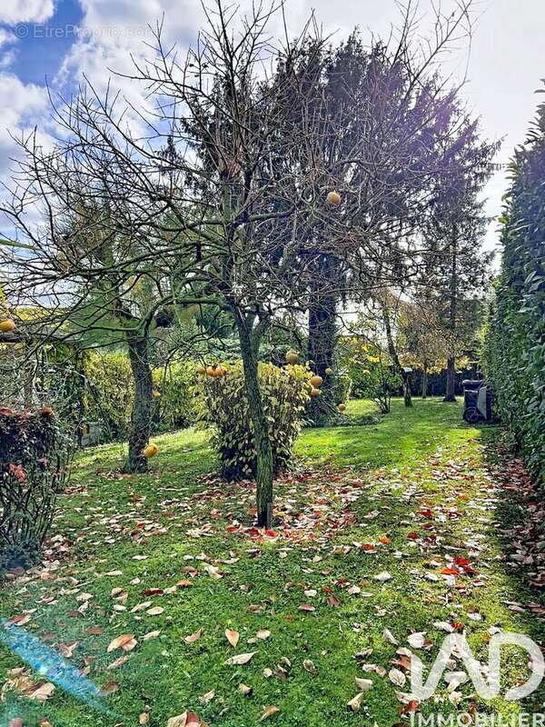 Photo 9 - Terrain à VILLEVAUDE