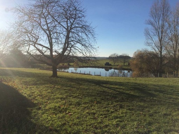 Terrain à LANOUAILLE