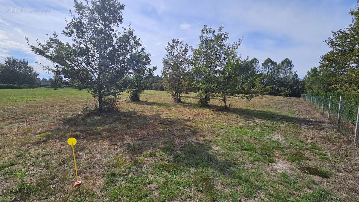 Photo-2023/101042-1-3 - Terrain à CACHEN