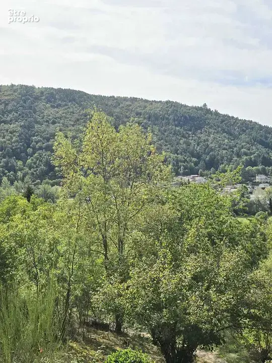 Coup de coeur pour les amoureux de nature - nid douillet  à - photo 11