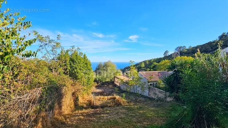 Maison à SARI-SOLENZARA