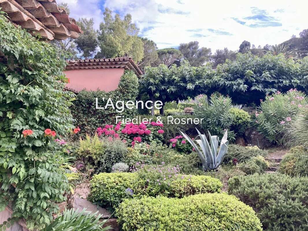 Maison à SAINT-TROPEZ
