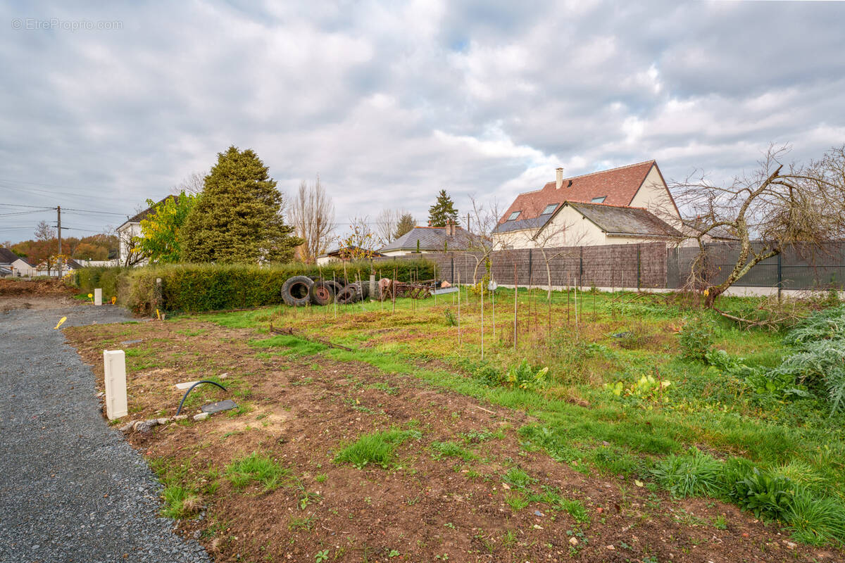 Terrain à BALLAN-MIRE