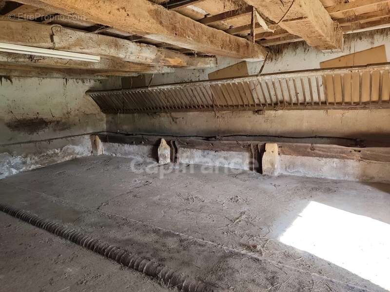 Ancienne ferme 114 m2 avec dépendances SAINT AUBIN EN CHAROLLAIS (71) - photo 5