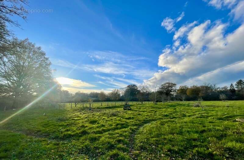 Maison à LURCY-LEVIS