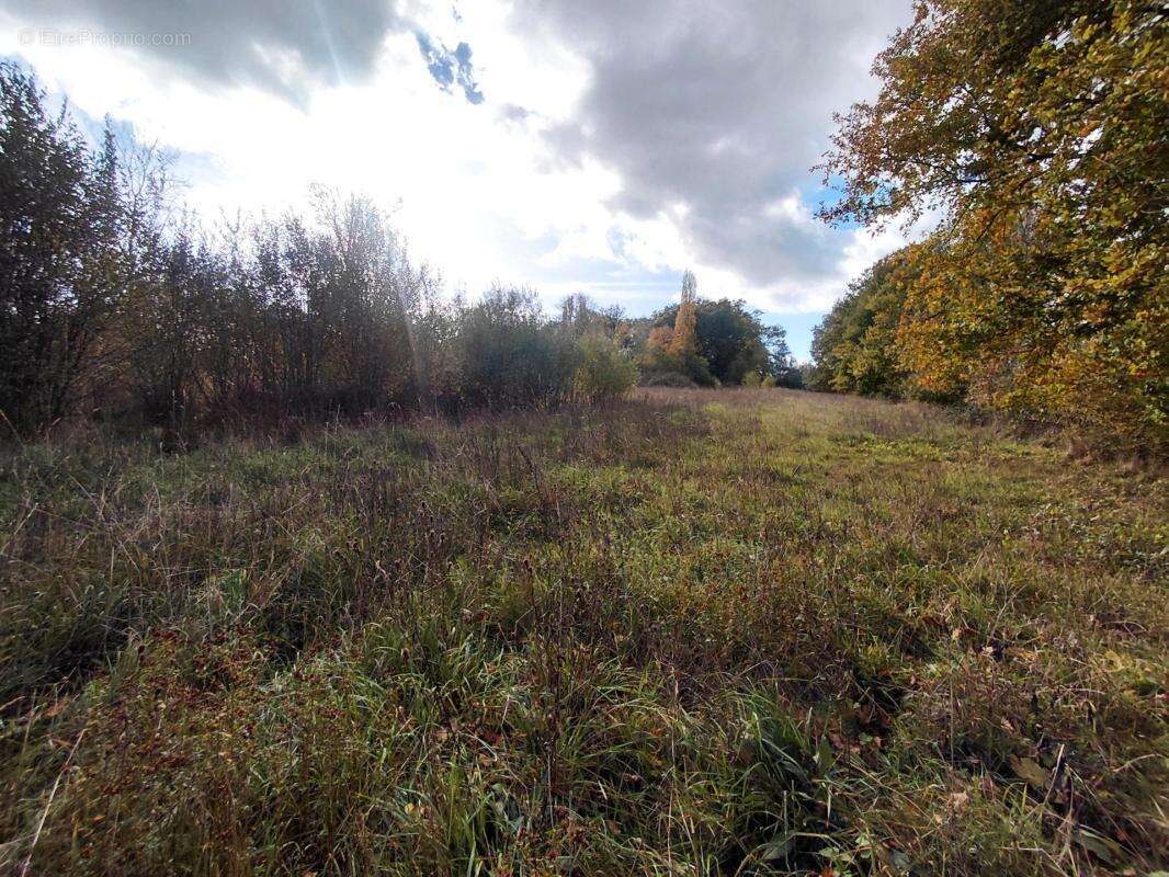 Maison à LE MELE-SUR-SARTHE