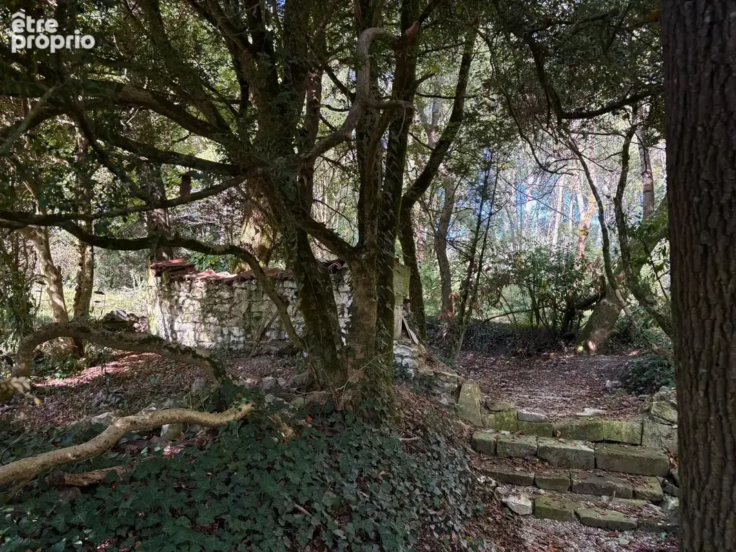 CHARME, VOLUMES ET NATURE À ARS. Maison rénovée avec 4 chambres et nombreuses dépendances - photo 24