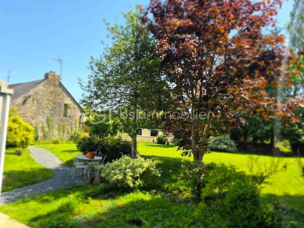 Maison en pierre de caractère 98m² entre Bricquebec et Barneville - photo 2