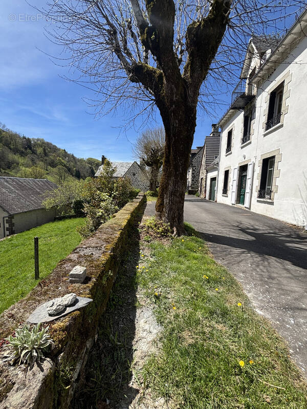 Maison à SAINT-PROJET-DE-SALERS