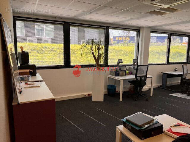 Open space1 - Commerce à MULHOUSE