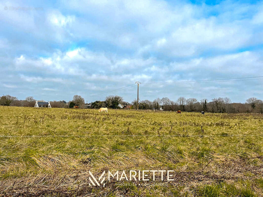 Terrain à PONT-AVEN