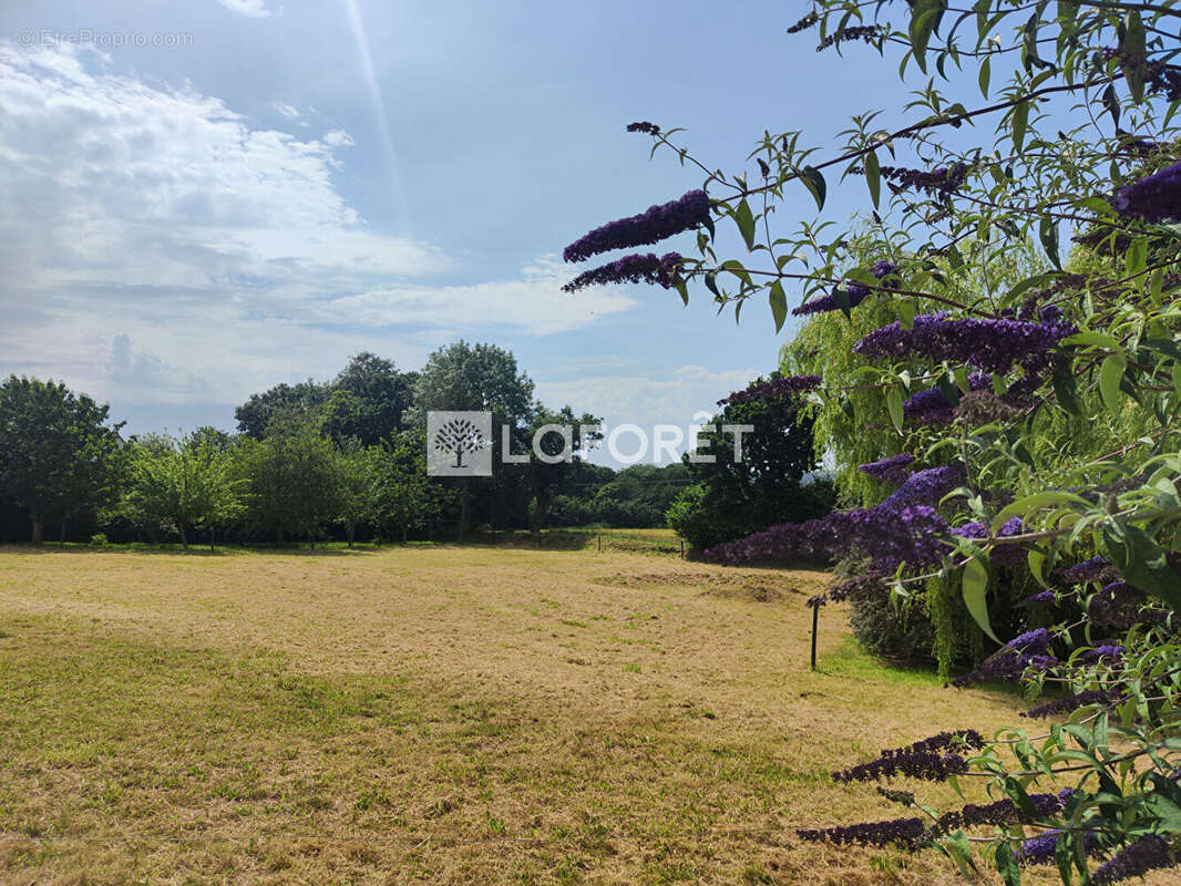 Maison d'architecte de 150 m² sur plus de 4 500 m² de terrain  À moins de 15 min au sud de Guingamp - photo 17