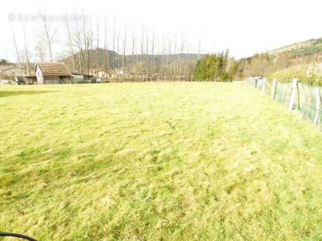 Terrain à MOYENMOUTIER