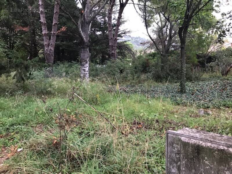 Terrain à MONTPELLIER