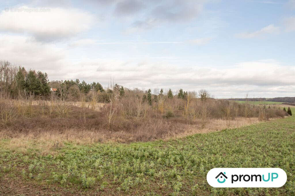 Terrain à SOREL-EN-VIMEU