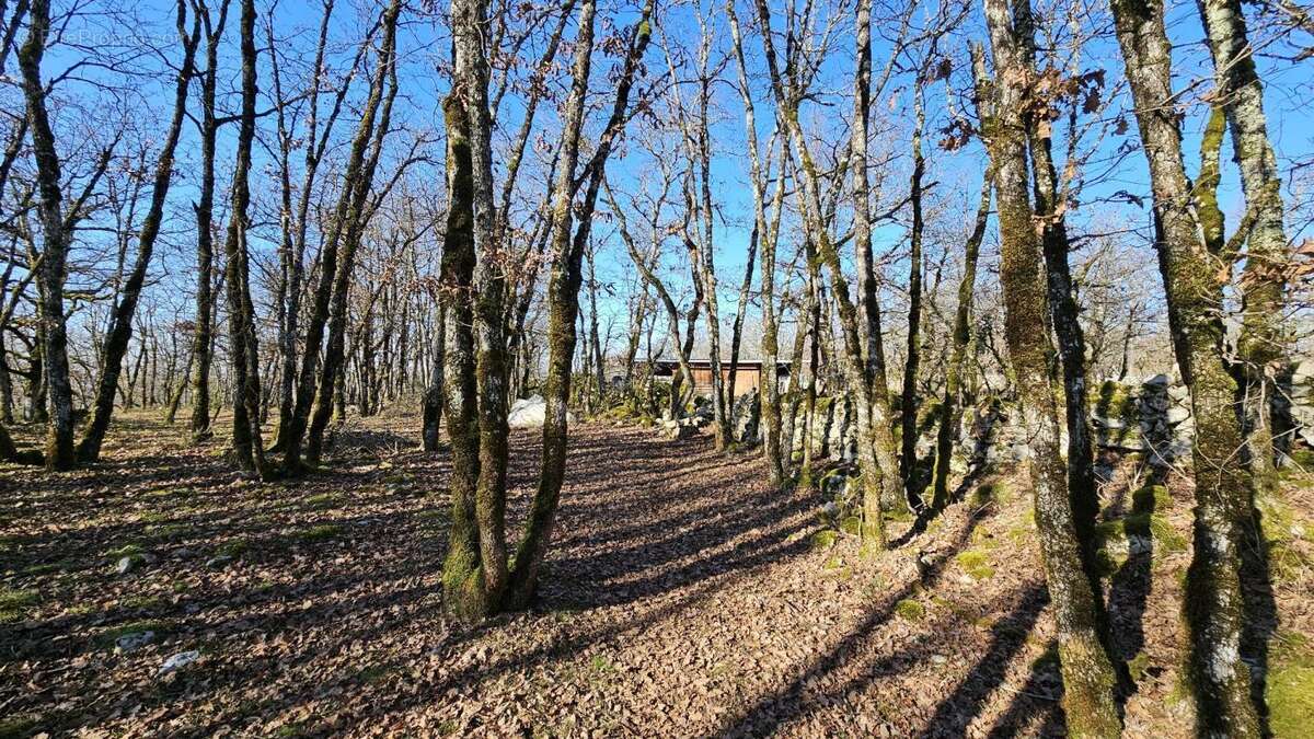 Terrain à SAINT-CHELS