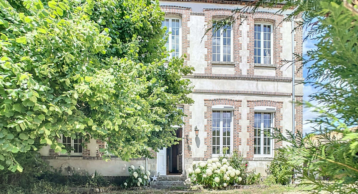 Maison à MONTMIRAIL