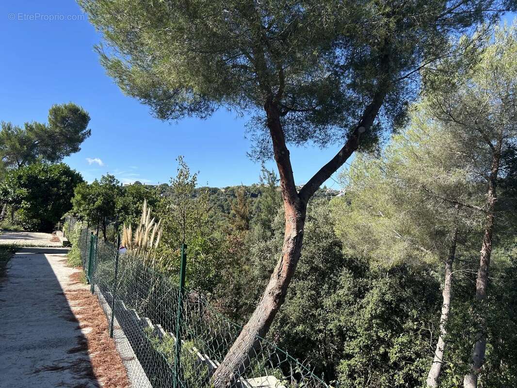 Terrain à NICE