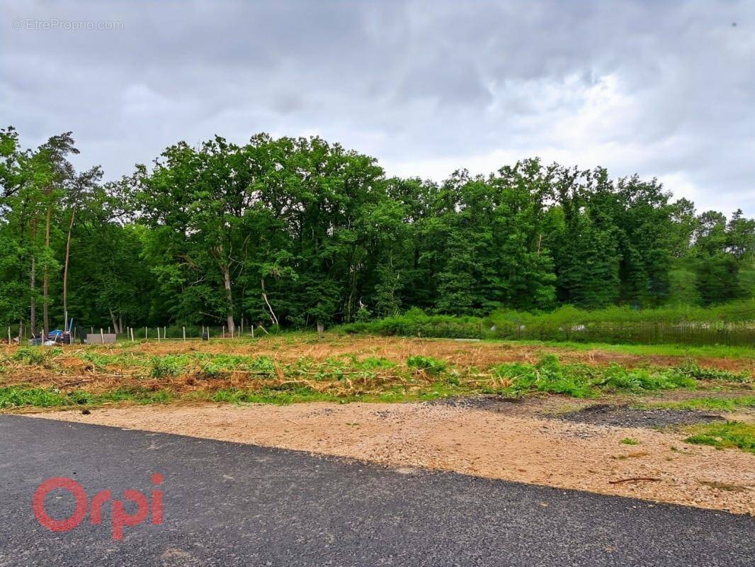 Terrain à SELLES-SUR-CHER