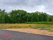 Terrain à SELLES-SUR-CHER