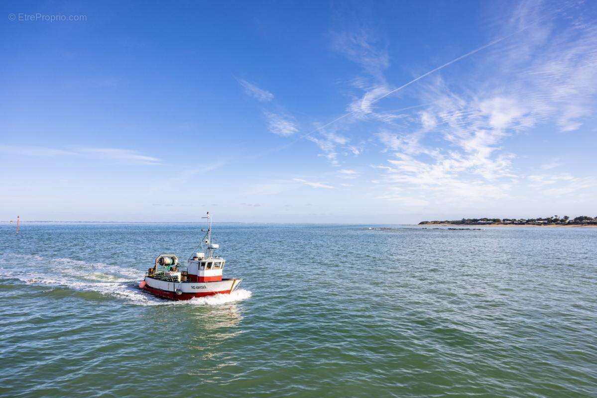 Terrain à L&#039;EPINE