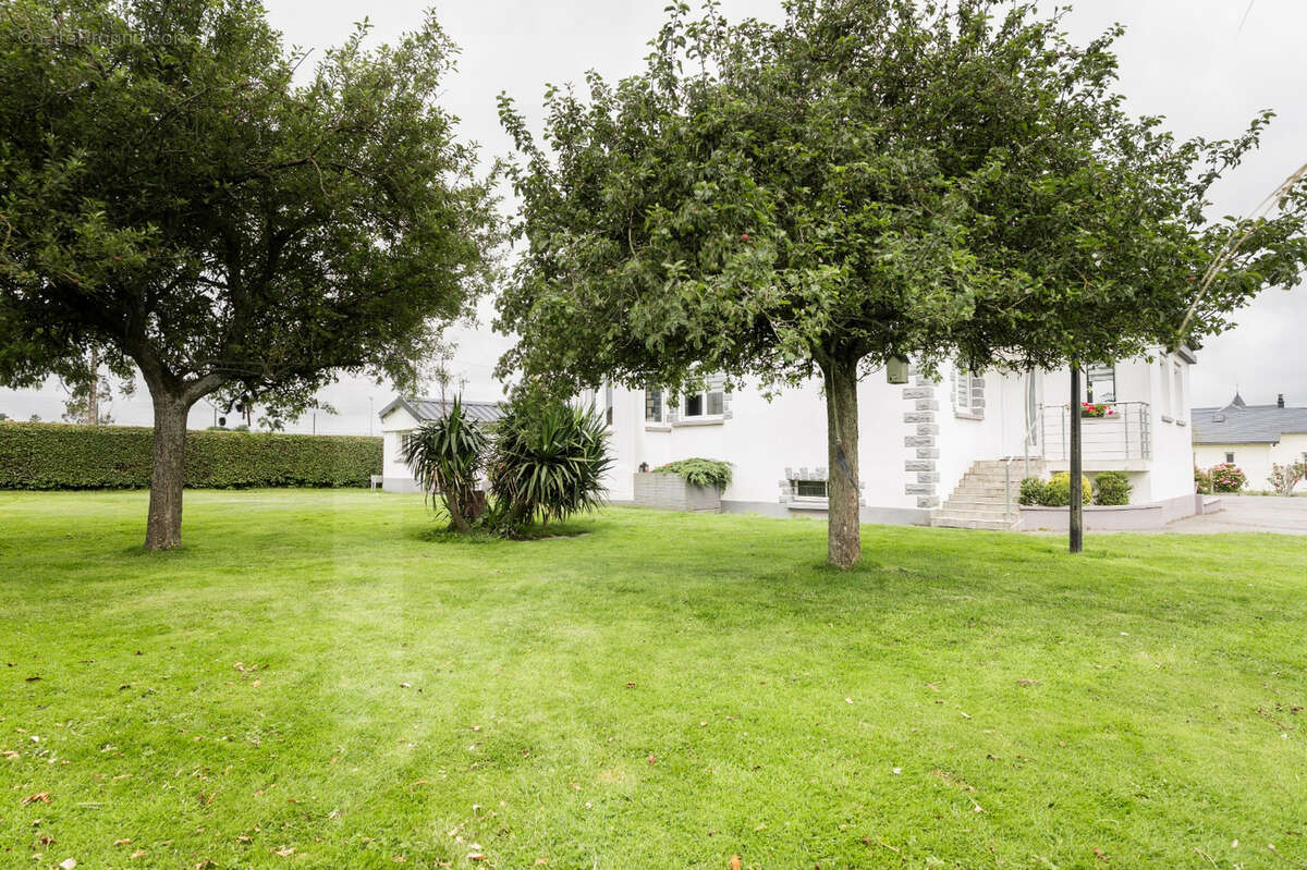 Maison à SAINT-SAUVEUR-D'EMALLEVILLE