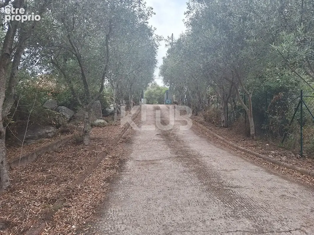 Propriété de loisirs à vendre à Sainte Lucie de PORTO VECCHIO - photo 7