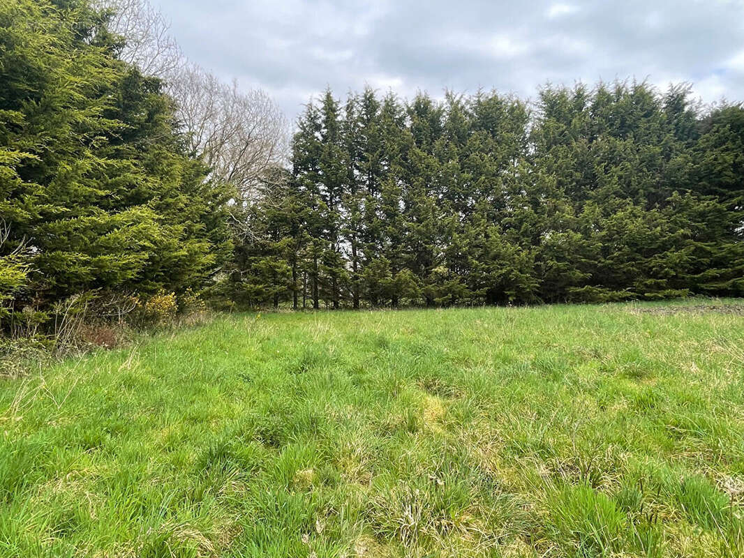 Terrain à SAINT-LYPHARD