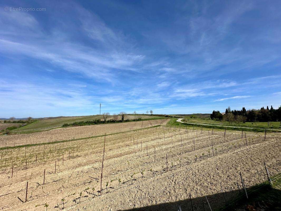 Maison à BELLEGARDE-DU-RAZES