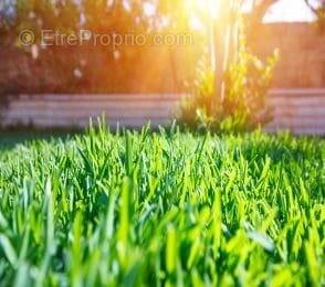 Terrain à MACHECOUL