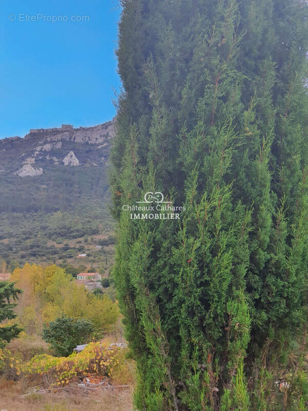 Terrain à ROUFFIAC-DES-CORBIERES