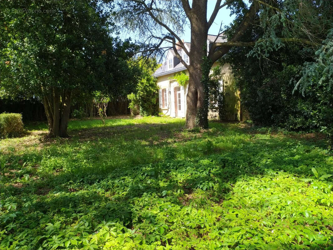 Maison à CHALLAIN-LA-POTHERIE