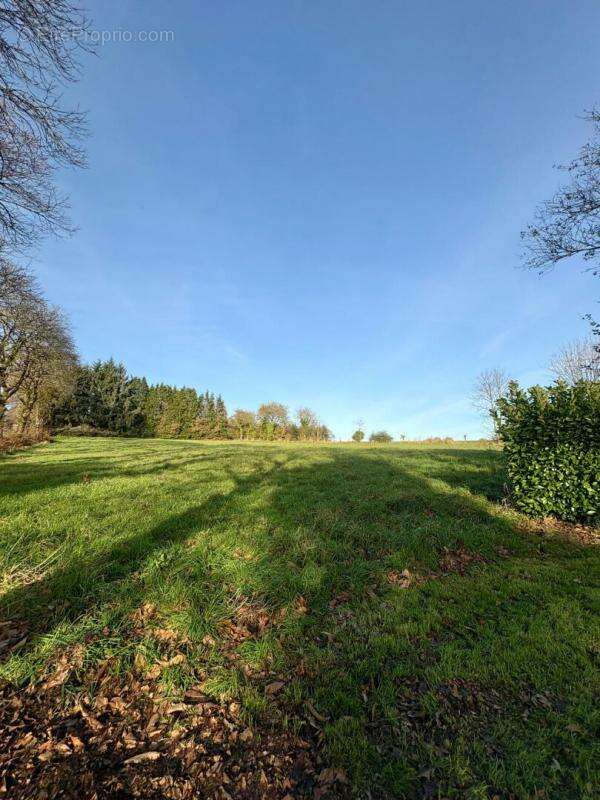 Maison à SAINT-MAYEUX