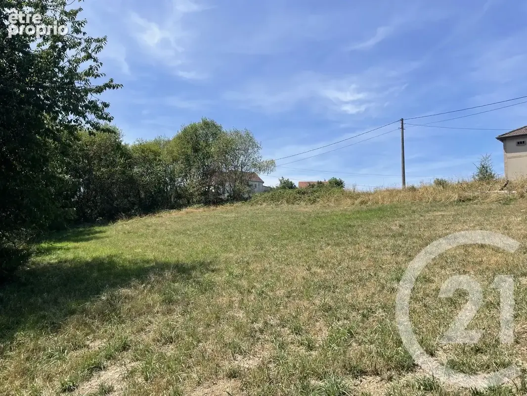 Terrain 3 340 m² à vendre à Hadol (88220) - photo 3