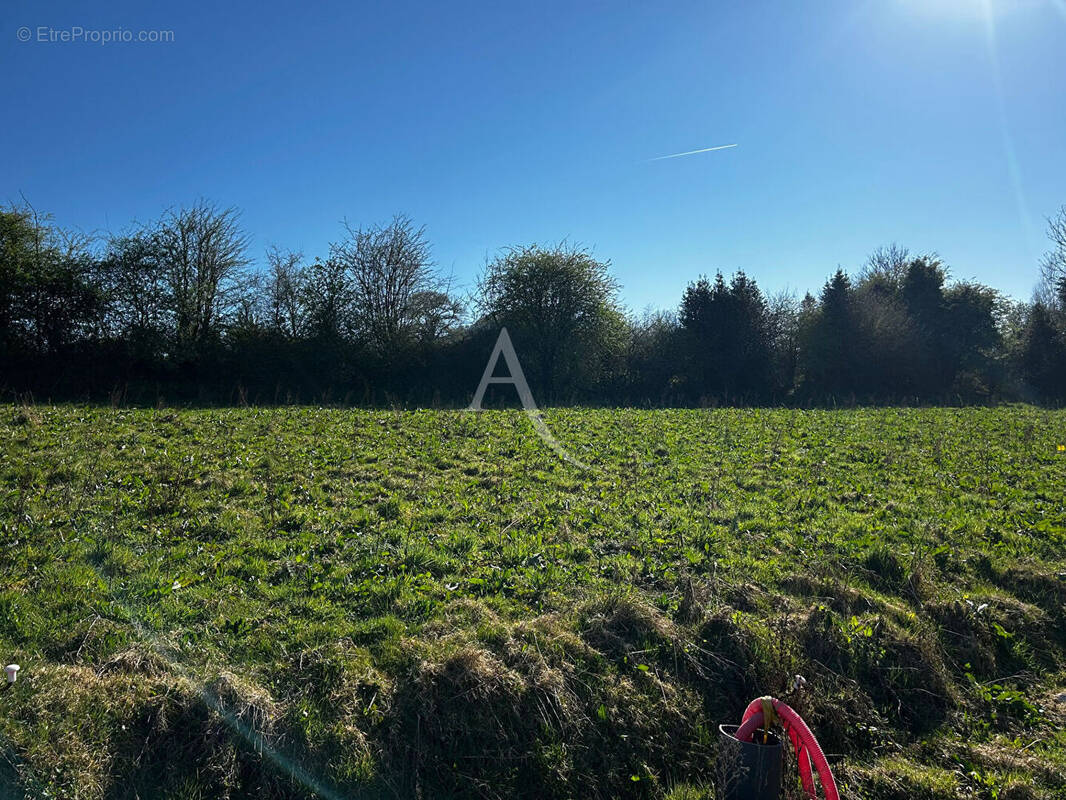 Terrain à HUCQUELIERS