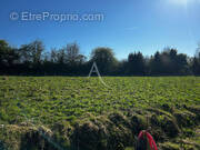 Terrain à HUCQUELIERS