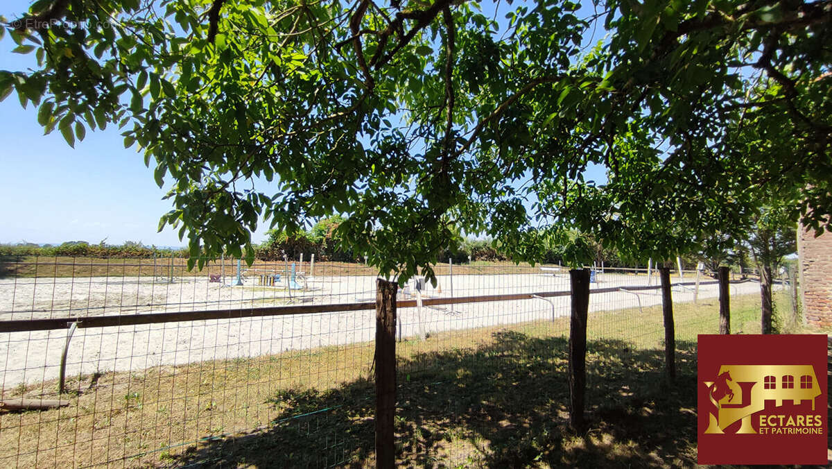 Propriété équestre 2,3 hectares - photo 10