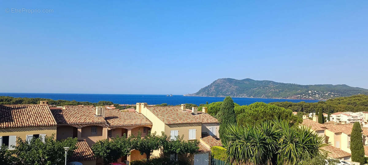 * C'est VENDU, L'ACTE AUTHENTIQUE Est Signé ! *  Pin Rolland- Les Eucalyptus - VUE MER PANORAMIQUE *  (83430) Saint Mandrier Sur - photo 3