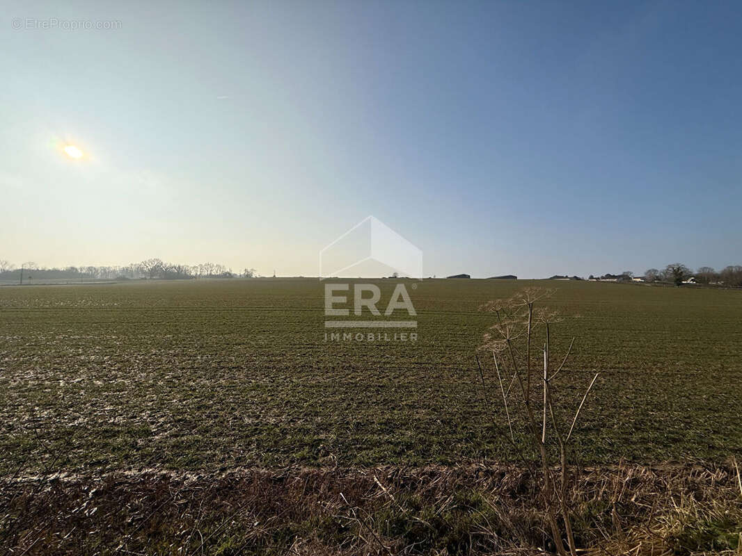 Maison à BRIE-COMTE-ROBERT