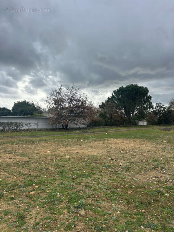 Terrain à GHISONACCIA