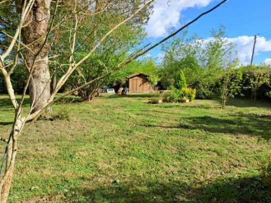 Photo-2025/041828-1-8 - Autre à MONT-DE-MARSAN