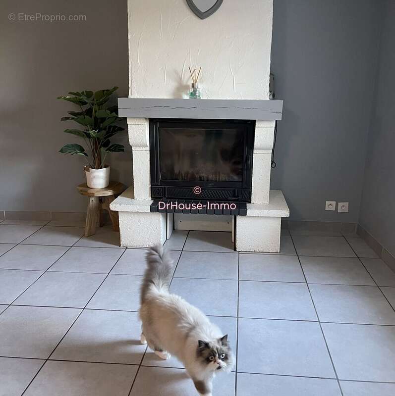 Maison à SAINT-APOLLINAIRE-DE-RIAS