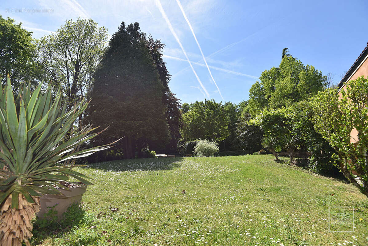 Maison à SAINT-CYR-AU-MONT-D'OR