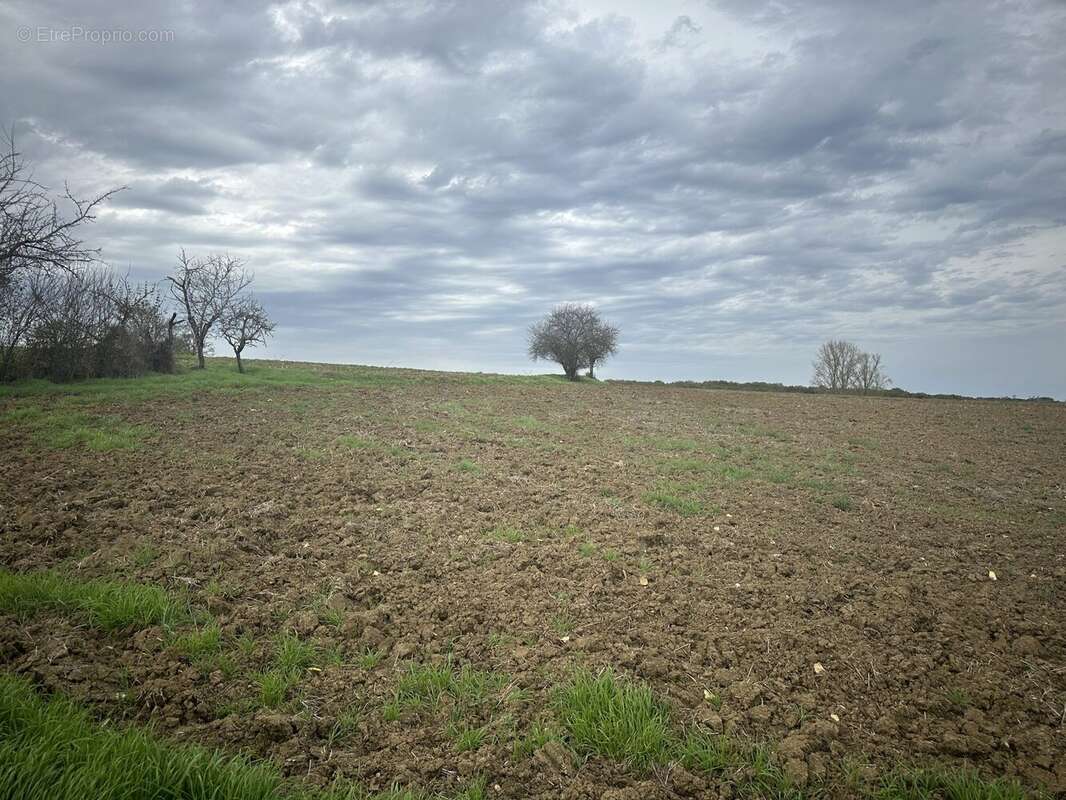 Maison 91 m² à Montignac-De-Lauzun  - photo 4