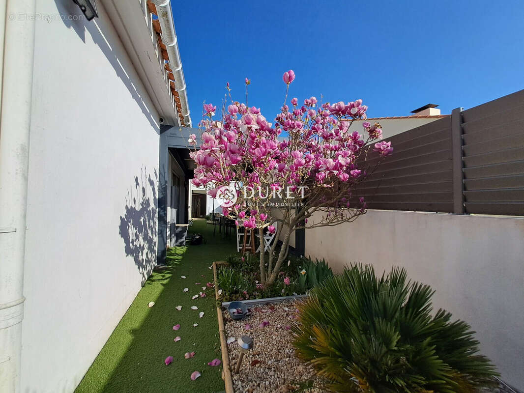 Maison à LE FENOUILLER