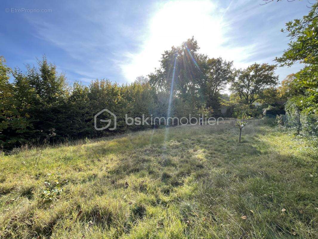 Maison à BOIS-LE-ROI