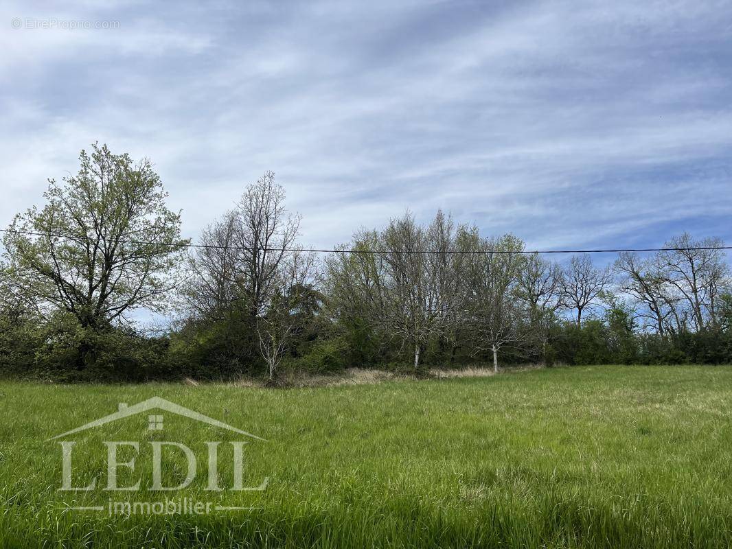 Terrain à SAINT-ROMAIN-LE-NOBLE