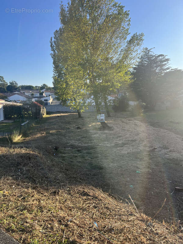 Terrain à LA TRANCHE-SUR-MER