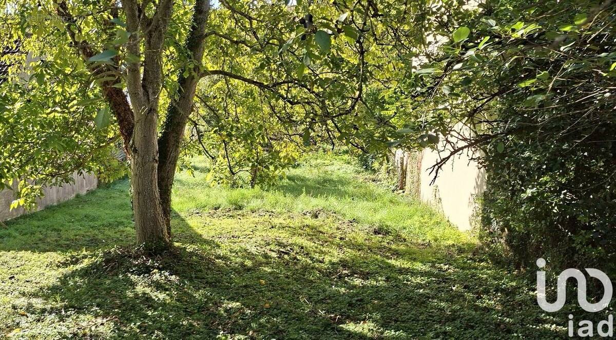 Photo 1 - Terrain à PARON