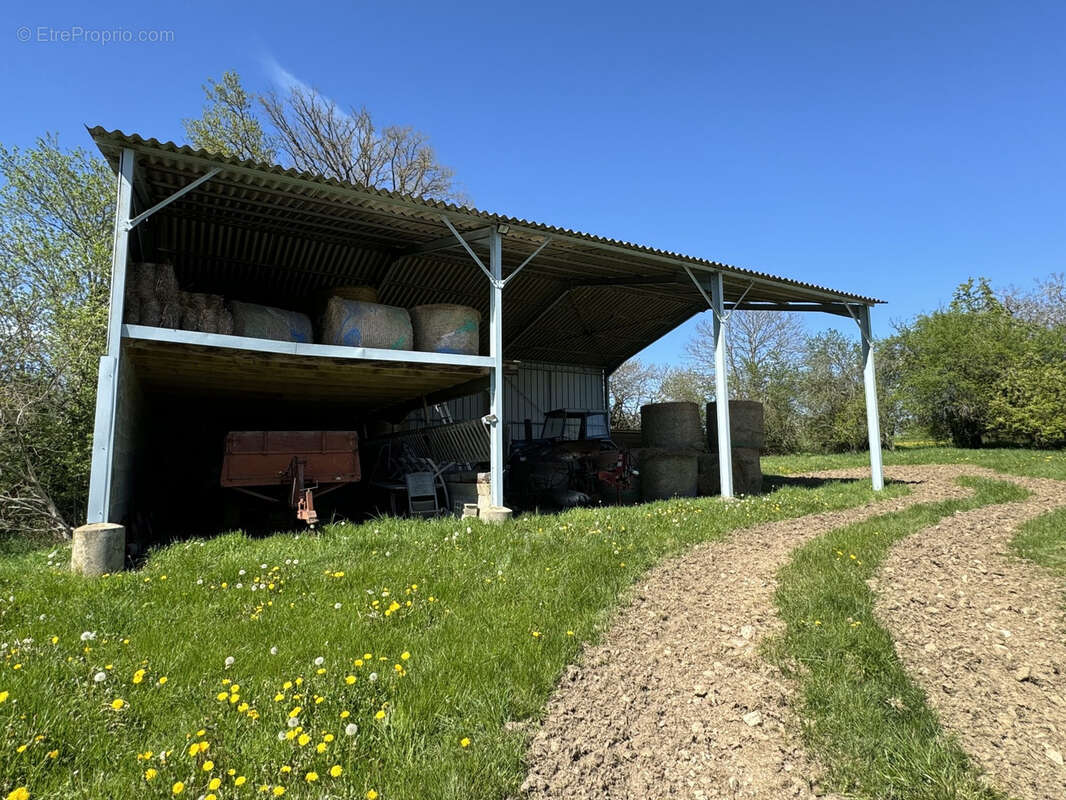 Propriété rurale   6,9 ha avec maison de 170 m2, petit studio et piscine (Boussac-Bourg) - photo 10